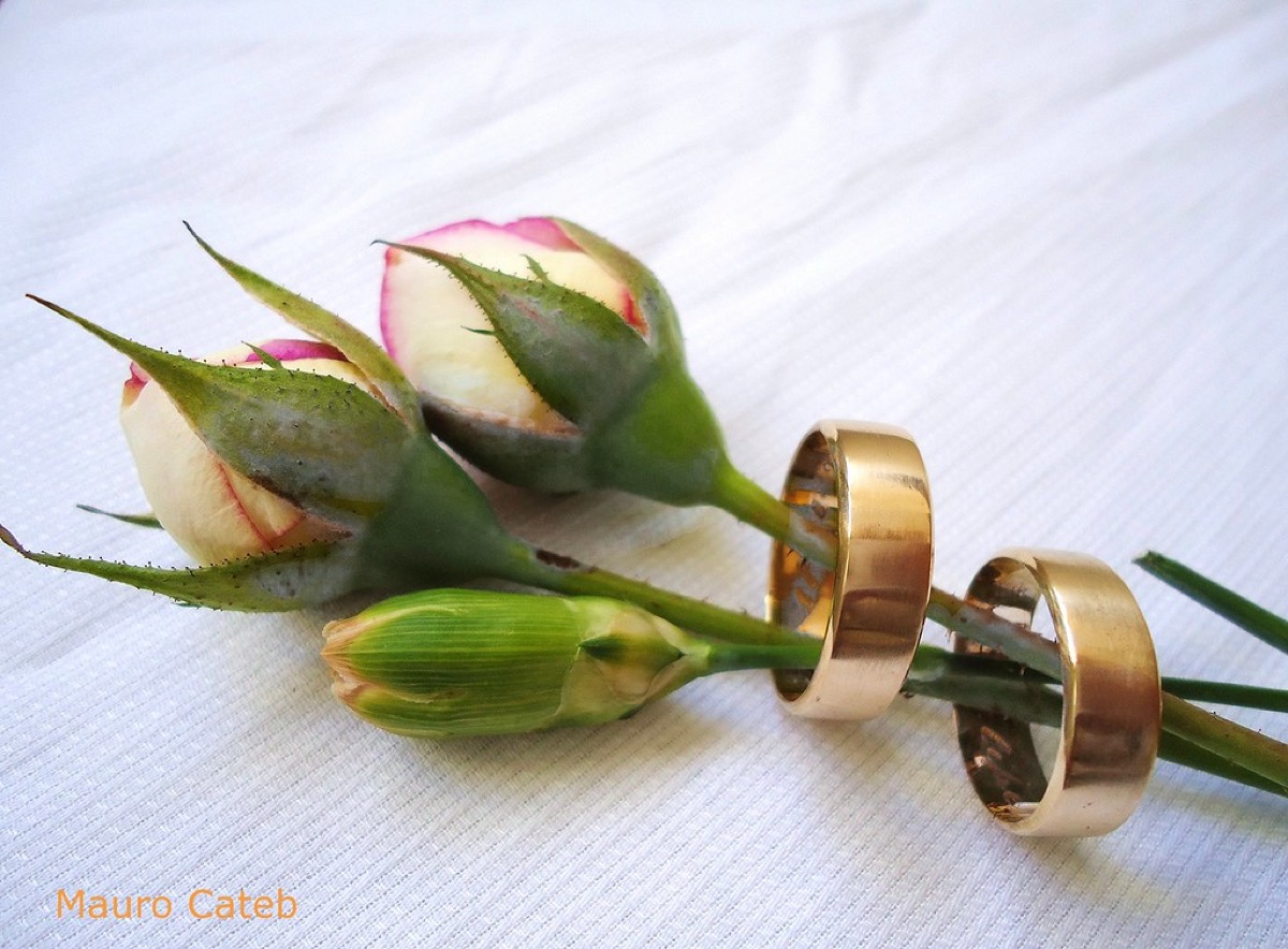 Pair of gold wedding rings beside rose buds